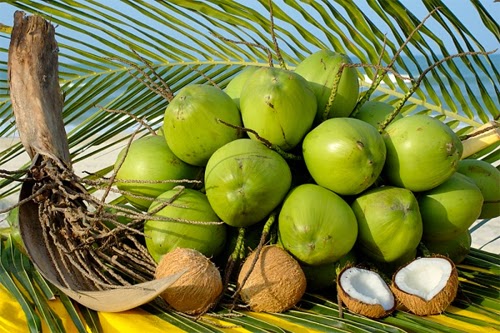 Keọ dừa dứa sầu riêng