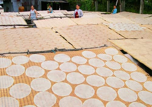 Bánh tráng sữa được phơi nắng