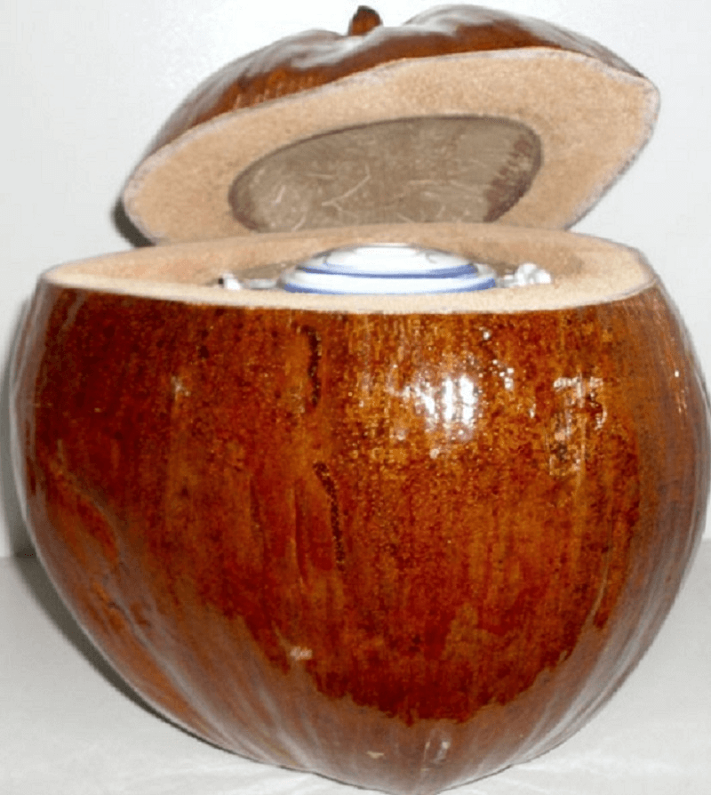 Vỏ bình giữ ấm trái dừa