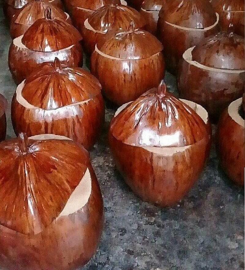 Vỏ bình giữ ấm trái dừa