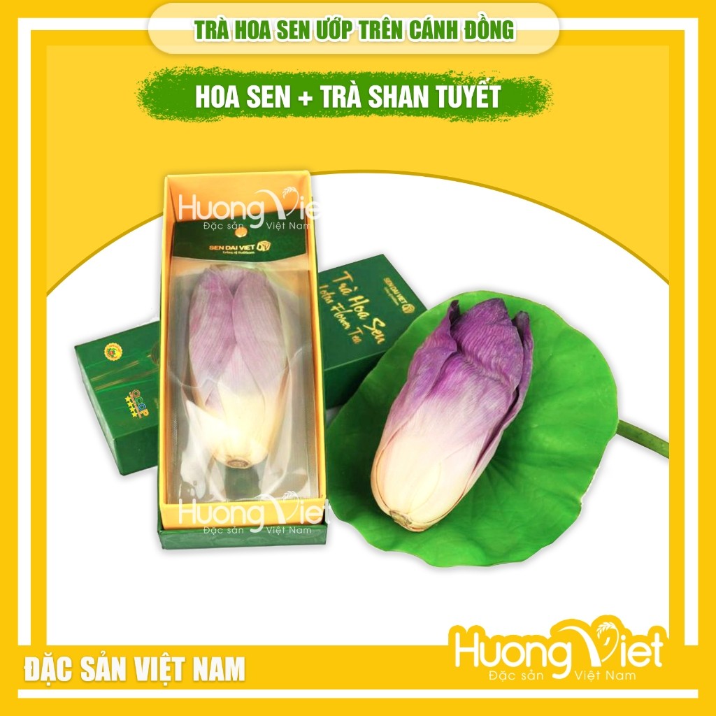 Trà hoa sen ướp nguyên bông - Cốt trà Shan Tuyết (Hộp 15g) Trà hoa sen ướp nguyên bông - Cốt trà Shan Tuyết (Hộp 15g)