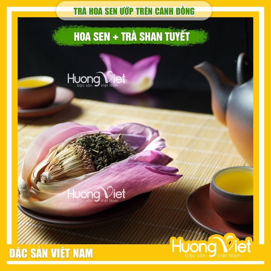 Trà hoa sen ướp nguyên bông - Cốt trà Shan Tuyết (Hộp 15g) Trà hoa sen ướp nguyên bông - Cốt trà Shan Tuyết (Hộp 15g)