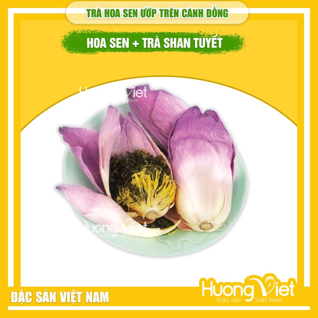 Trà hoa sen ướp nguyên bông - Cốt trà Shan Tuyết (Hộp 15g) Trà hoa sen ướp nguyên bông - Cốt trà Shan Tuyết (Hộp 15g)